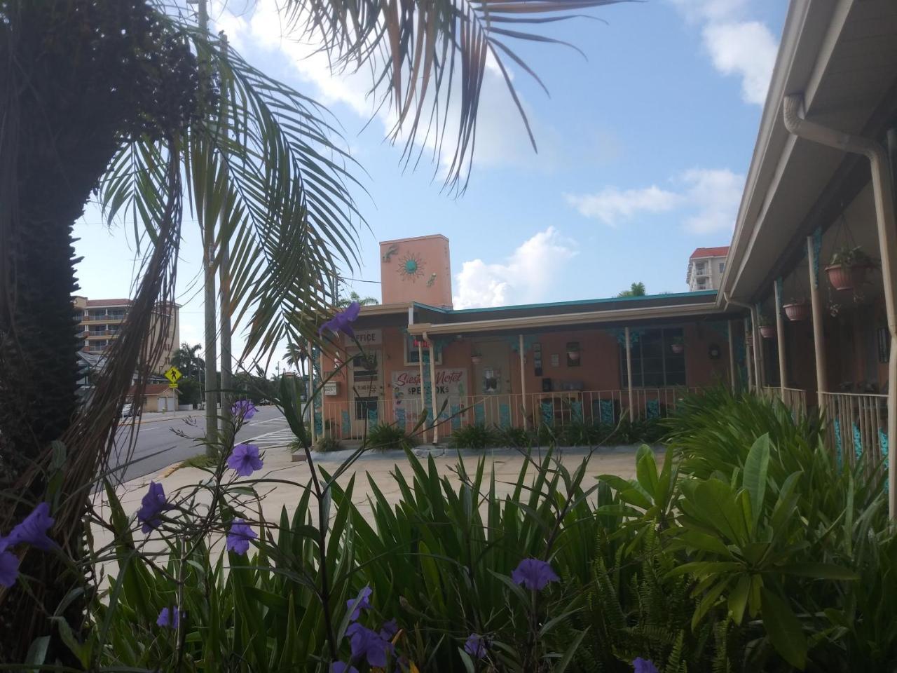 Michaels Siesta Motelセント・ピーターズバーグ エクステリア 写真